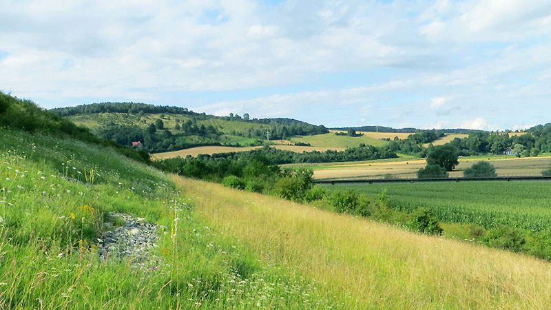 Hügellandschaft mit Wiesen, Feldern und Bäumen